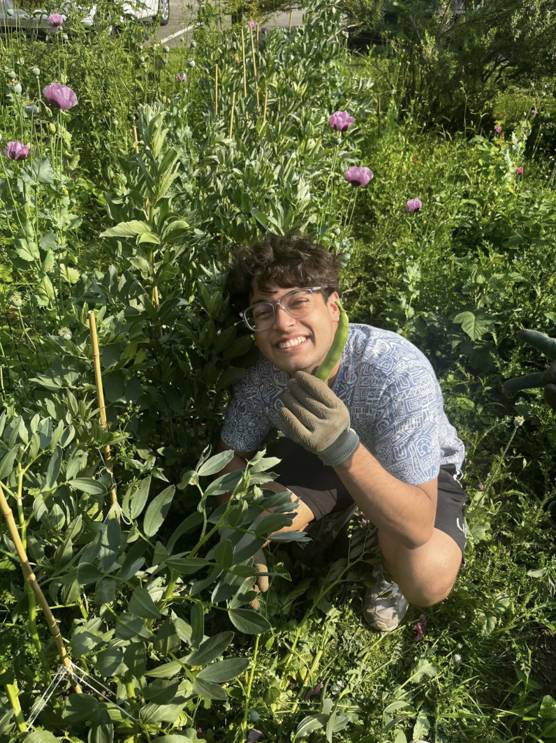 Team meeting and collaboration